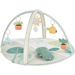 Skip Hop Garden Oasis Activity Gym