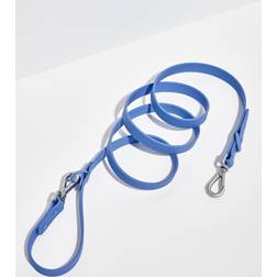 One Leash Moonstone