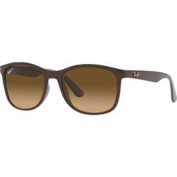 Ray-Ban Polarized RB4374 6600M2