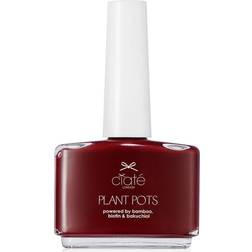 Ciaté London Plant Pots Nail Varnish 14ml Dangerous Affair