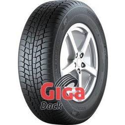 Gislaved Euro*Frost 6 (205/55 R16 91H)
