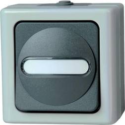 Kopp 560856002 1-piece Wet room switch product range Complete Switch BlueElectric Grey