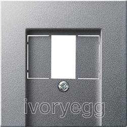 Cover plate TAE Stereo USB System 55 Colour Aluminium