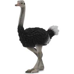 Collecta Ostrich