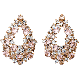 Lily and Rose Alice örhänge Crystal