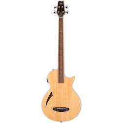 ESP Guitars LTD TL-4