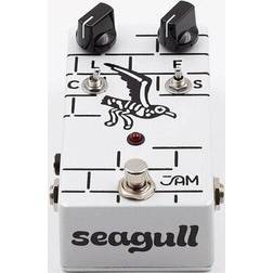 Jam Seagull