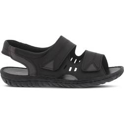 Spring Step Diro