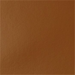 Basics 118Ml Raw Sienna 330