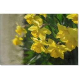 Lois Bryan 'Daffodils Peeking' Canvas 16 x 24 one size