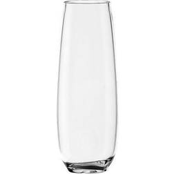 TarHong Montana Champagne Glass 10fl oz 6