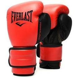 Everlast Powerlock 2R Training Gloves 10oz