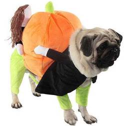 Petlife Pumpkin Mon' Halloween Dog