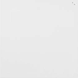 Naga Magnetic Glass Board 100x100cm