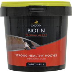 Lincoln Biotin 600g