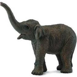 Collecta Asian Elephant Calf