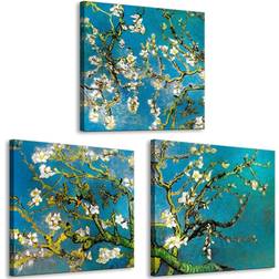 Canvas Blooming Almond Billede