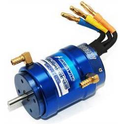 Hobbywing Seaking 3180KV-3660 motor