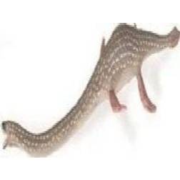 Collecta Elasmosaurus