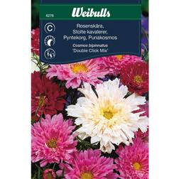 Weibulls Rosenskära Double Click Mix Blomsterfrø