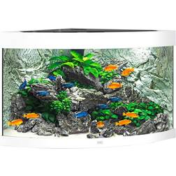 Juwel Trigon 190 LED Aquarium