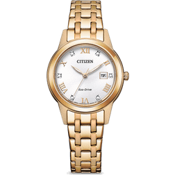 Citizen Eco-Drive (FE1243-83A)