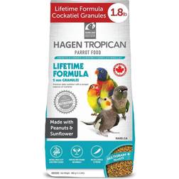 Hagen Tropican Mantenimiento Ninfas 820 g