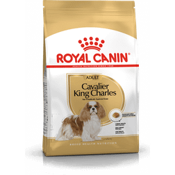 Royal Canin Cavalier King Charles Adult