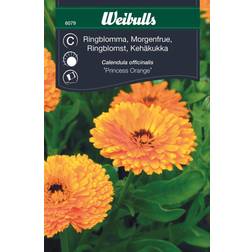 Weibulls Ringblomma Princess Orange Blomsterfrø
