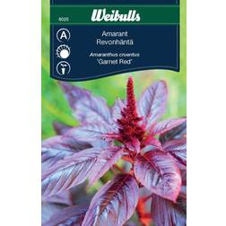 Weibulls Amarant Garnet Red Blomsterfrø