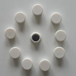 Dahle 95513 Magnete per Lavagna Bianca