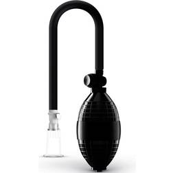 Saiz Clitoris Sugestimulator