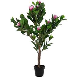 Dkd Home Decor Dekorativ plante Pink Grøn PE (60 x 60 x 125 cm) Dekoration