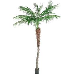 Fröken Fräken Phoenix Palm Konstgjord växt