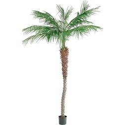 Fröken Fräken Phoenix Palm Kunstig plante