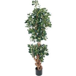 Konstgjord Fikus Panda 120 cm 2-pack Kunstig plante