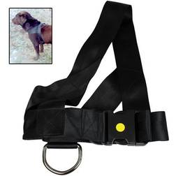 Dog Security Hetssele av 50 bred polyester 85