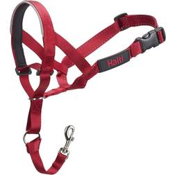 Halti Headcollar Red