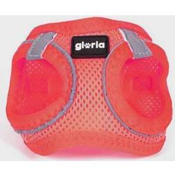 Gloria Air Mesh Trek Star Justerbar