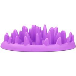 Northmate Gamelle Plateau Anti Glouton 27 cm Violet Pour Chat