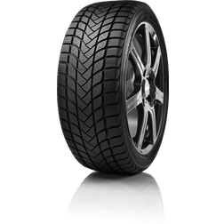 Delinte WINTER WD6 185/55R15 82H