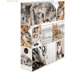 Herma Motif file A4 animals cats