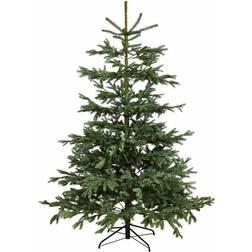 Nordic Winter Nordmann Green Juletræ 200cm