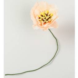 Studio About Paper flower, poppy, nude Vægdekorationer