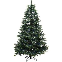 Nordic Winter Limited Edition Julgran 180cm
