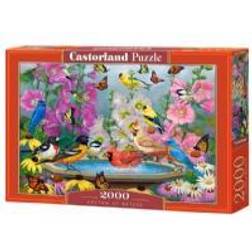 Castorland Rhythm of Nature 2000 Pieces