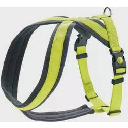 Hunter Koiran Valjaat London Comfort 52-62 cm