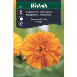 Weibulls Ringblomma Orange Blomsterfrø