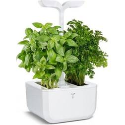 Veritable Exky Classic Garden Minidrivhus