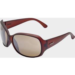 Sinner Amos Sunglasses Brown